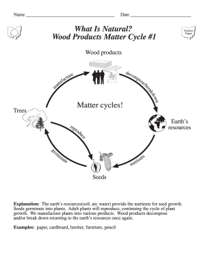 Science Worksheet: Wood Products Matter Cycle
