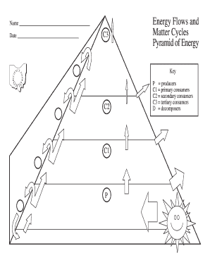 Energy Flows and Matter Cycles Worksheet