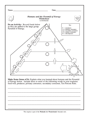 Energy Pyramid Student Worksheet