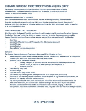 Fillable Online The Hyundai Roadside Assistance Program reflects ...