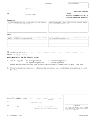 Ontario Affidavit for Filing Domestic Contract