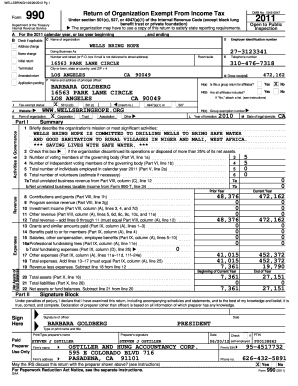 Form 990 2011