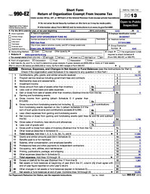 Form 990-EZ 2013