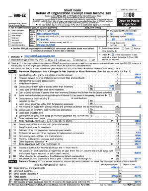 Form 990-EZ 2008