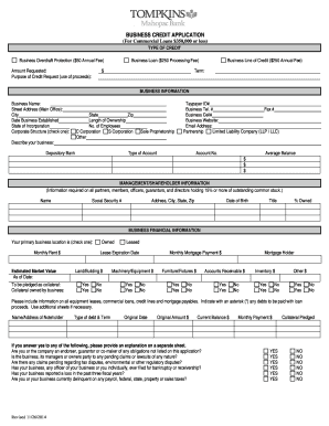Business Credit Application