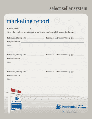 Marketing Report Template