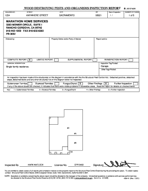 Bwood destroyingb pests and organisms inspection breportb marathon bb
