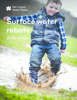 Surface Water Rebate Application Form