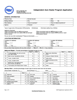 Independent Auto Dealer Program Application