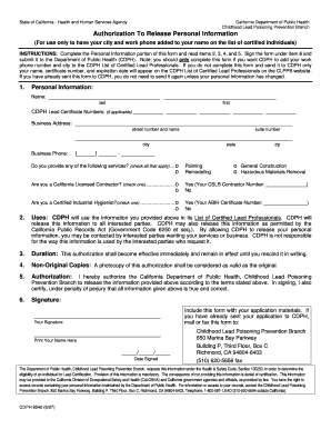 California Lead Professional Authorization Form