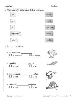 Ejercicio de conjugación de verbos en español