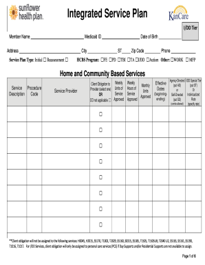 Integrated Service Plan for I/DD Tier