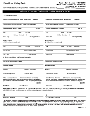 Visa Platinum Consumer Card Application