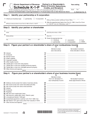 Illinois Schedule K-1-P Form