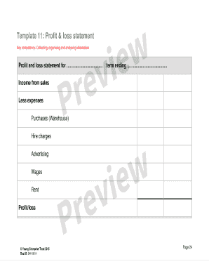 Profit and Loss Statement Template