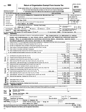Form 990 2013