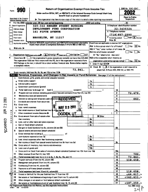 Form 990 Tax Exempt Organization Return