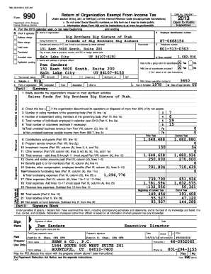 Form 990 2013 Tax Return