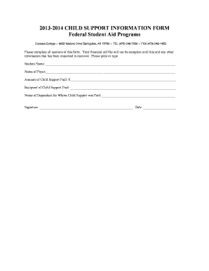 Child Support Information Form