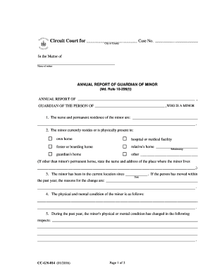 Annual Report of Guardian of Minor