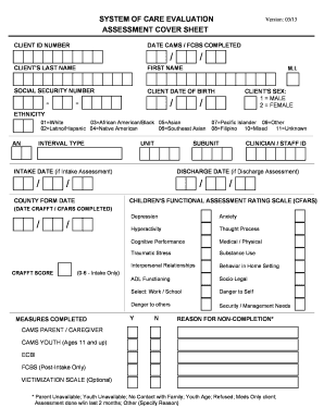 System of Care Evaluation Form
