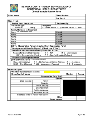 Nevada County Client Financial Review Form