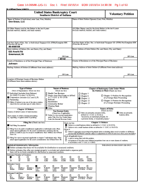 US Bankruptcy Voluntary Petition Form