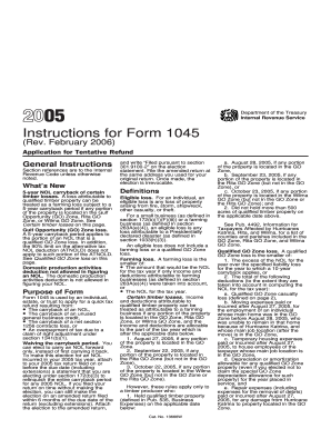 Form 1045 Instructions