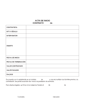 Acta de Inicio