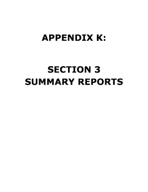 Section 3 Summary Report Form