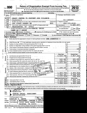 IRS Form 990 2013