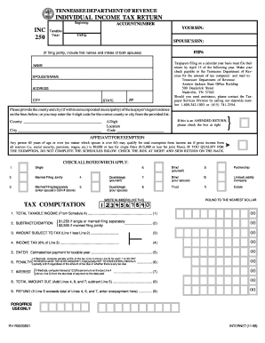 Tennessee Individual Income Tax Return
