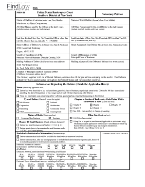 US Bankruptcy Court Voluntary Petition Form B1