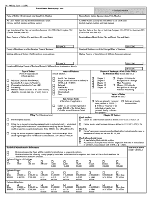 US Bankruptcy Court Voluntary Petition