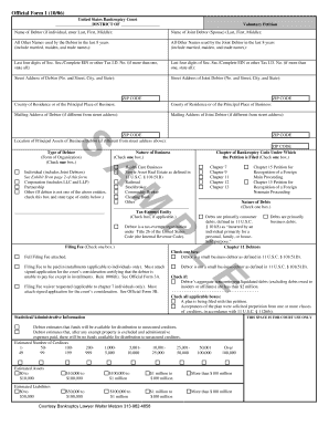US Bankruptcy Court Voluntary Petition