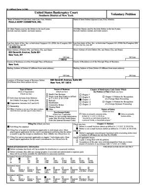 US Bankruptcy Court Voluntary Petition