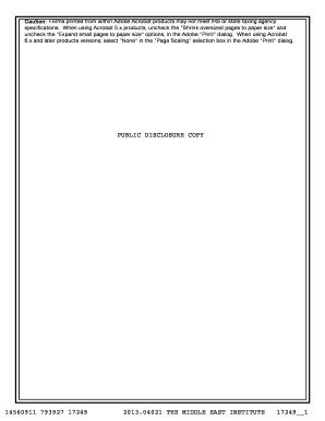 Form 990 2013