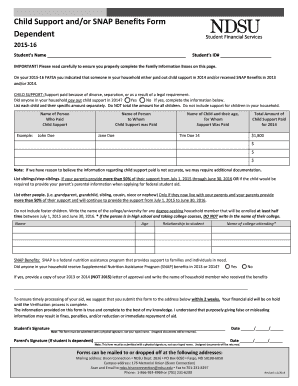 Child Support and SNAP Benefits Form