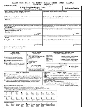 US Bankruptcy Court Voluntary Petition