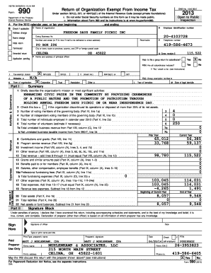 Form 990 2013