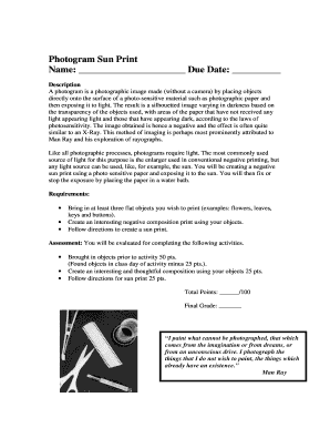 Sun Print Photogram Assignment