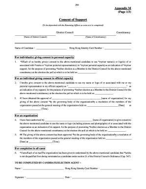 District Council Election Consent Form