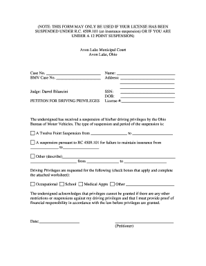 Ohio Petition for Driving Privileges