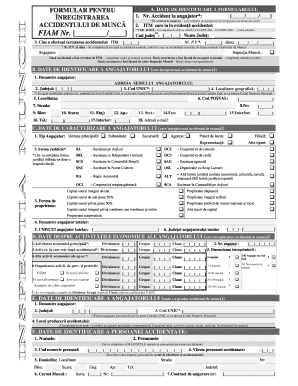 Work Accident Registration Form
