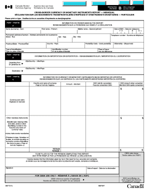 Cross-Border Currency or Monetary Instruments Report - Individual