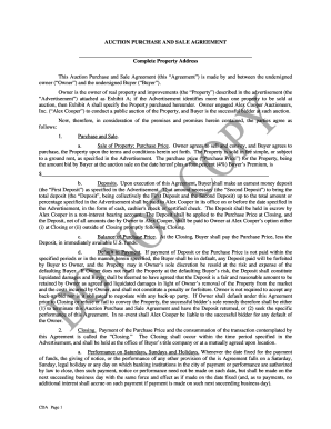 Auction Purchase and Sale Agreement