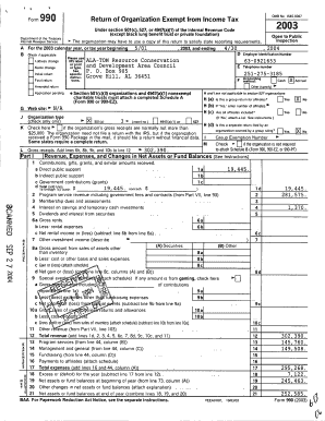 Form 990 2003