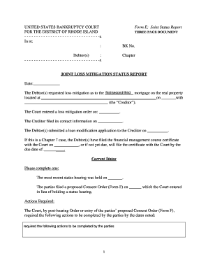 Joint Status Report for Loss Mitigation