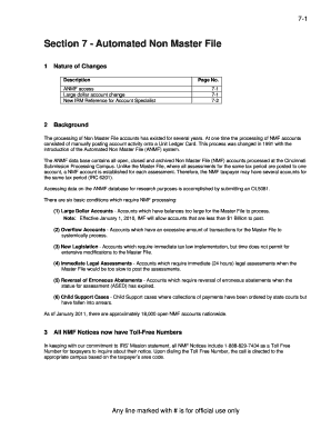 IRS Automated Non Master File Guide
