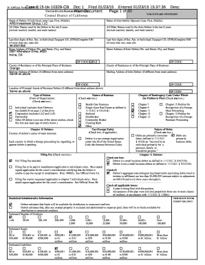 US Bankruptcy Voluntary Petition Form